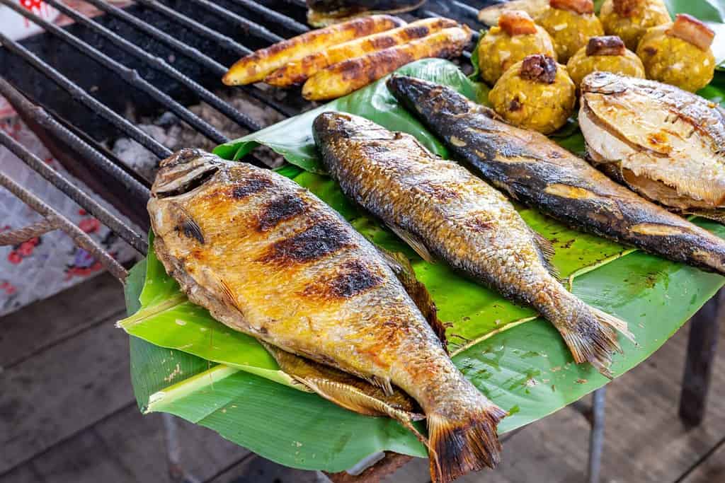 Suri larvae in Iquitos, local cuisine in Peru. Grilled amazonian fish and at the Iquitos market in Loreto. Peru.