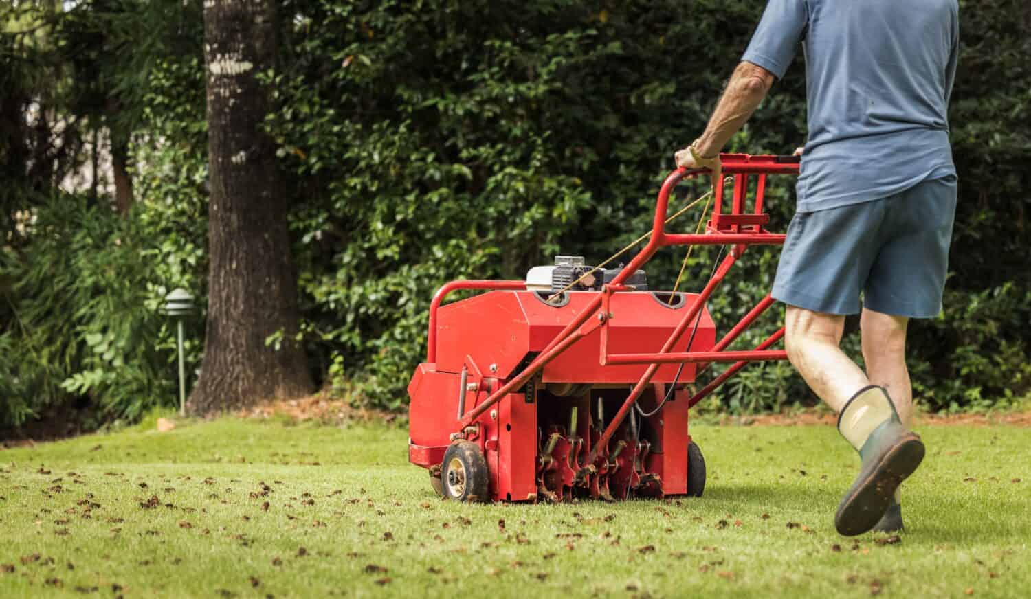 Man using gas powered aerating machine to aerate residential grass yard. Groundskeeper using lawn aeration equipment for turf maintenance.
