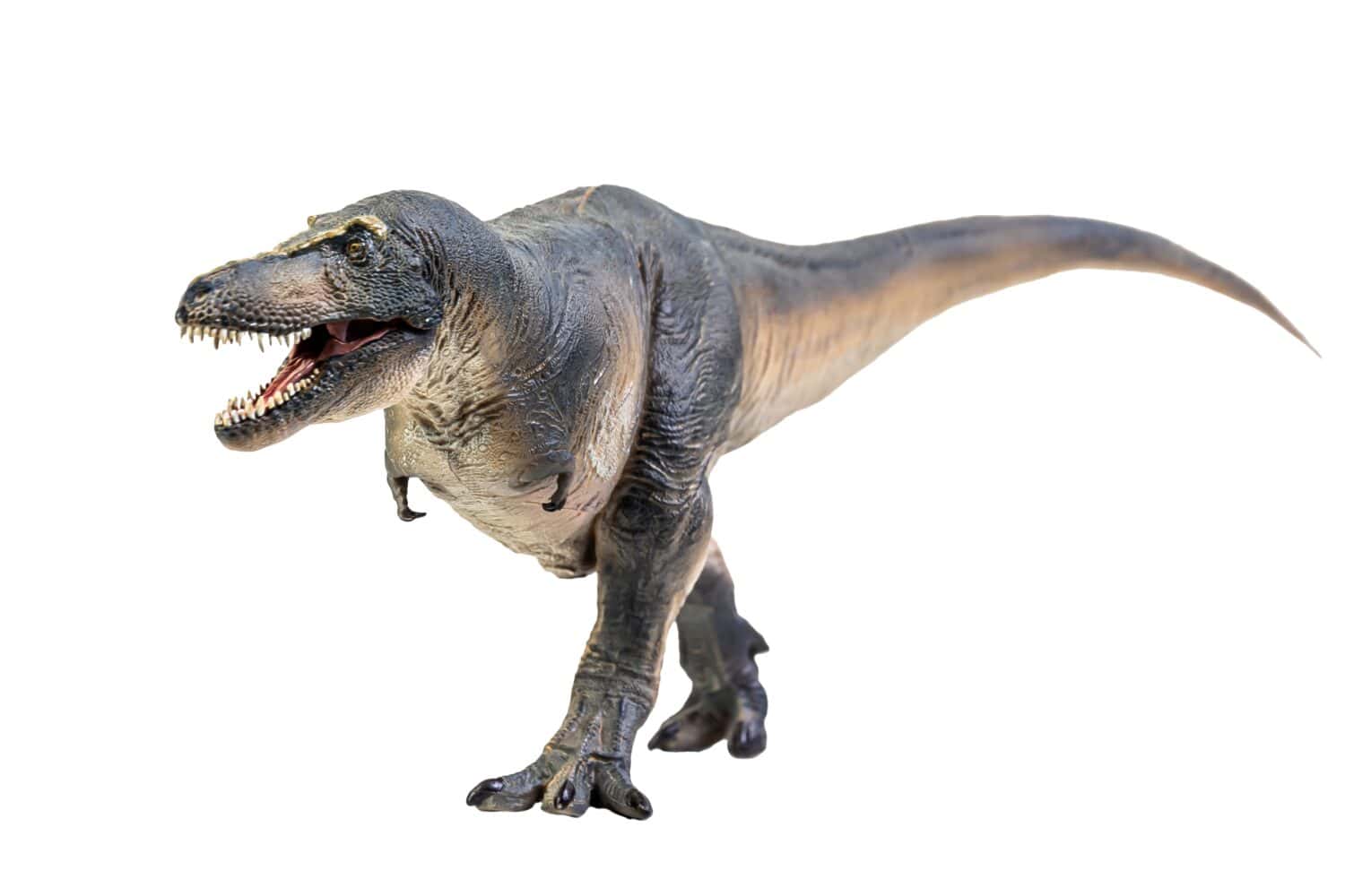 Paleontologists Stunning Conclusion: 2.5 Billion T. Rexes Roamed North  America Over the Cretaceous Period