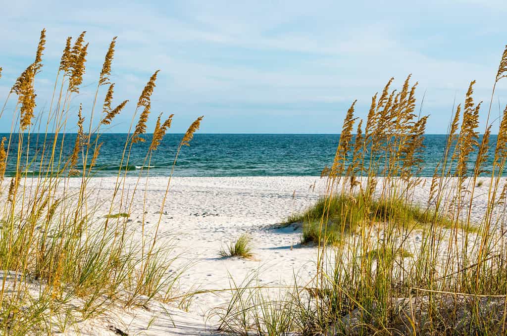 A scene on the Gulf Coast of Alabama. Surprisingly, some of the beaches in Alabama are remote. 
