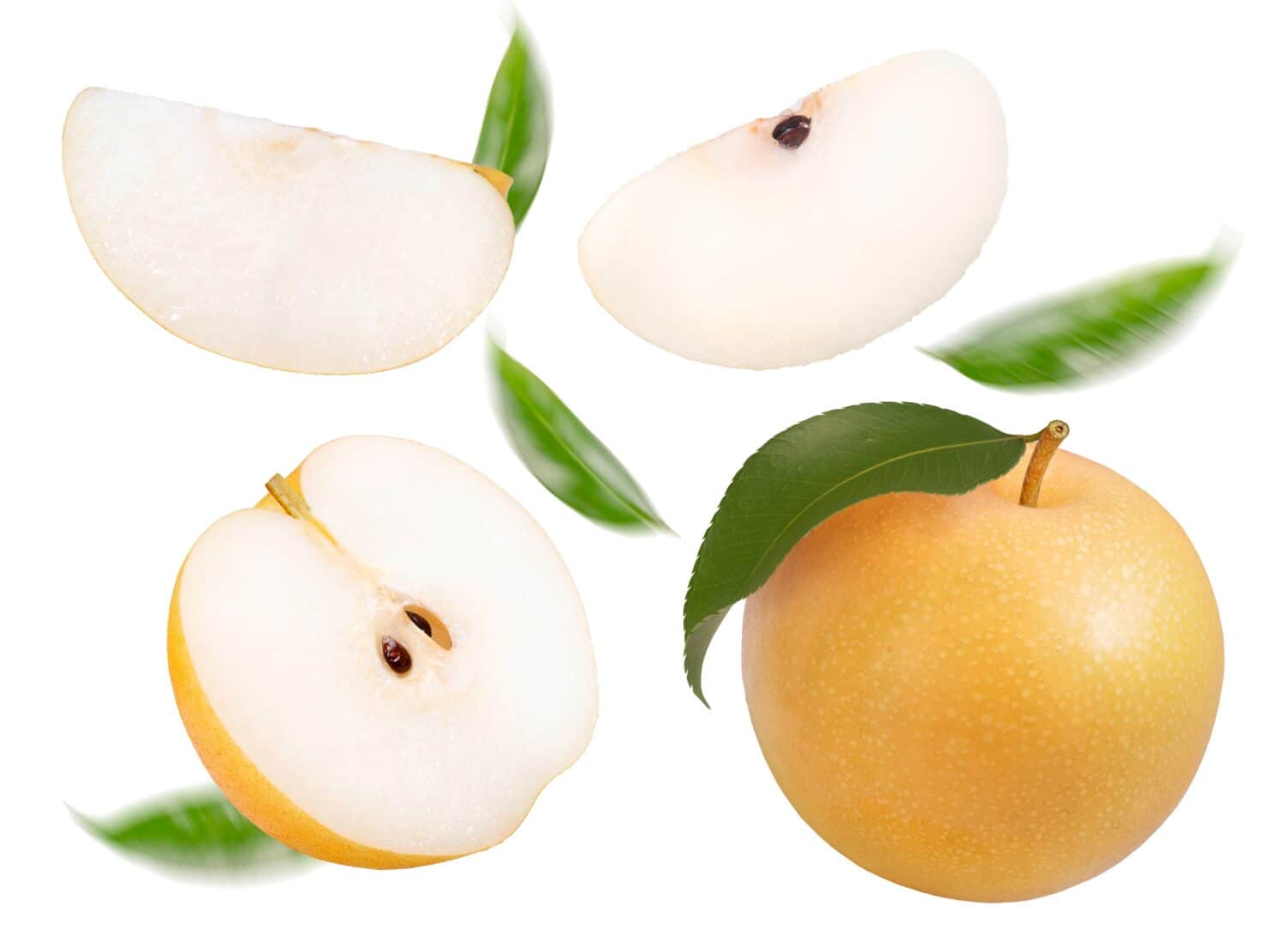 Nashi pear falling in the air isolated on white background, Snow pear or Korean pear on white background With work path.