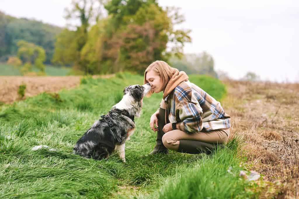 Outdoor portrait of beautiful young woman playing with australian shepherd dog