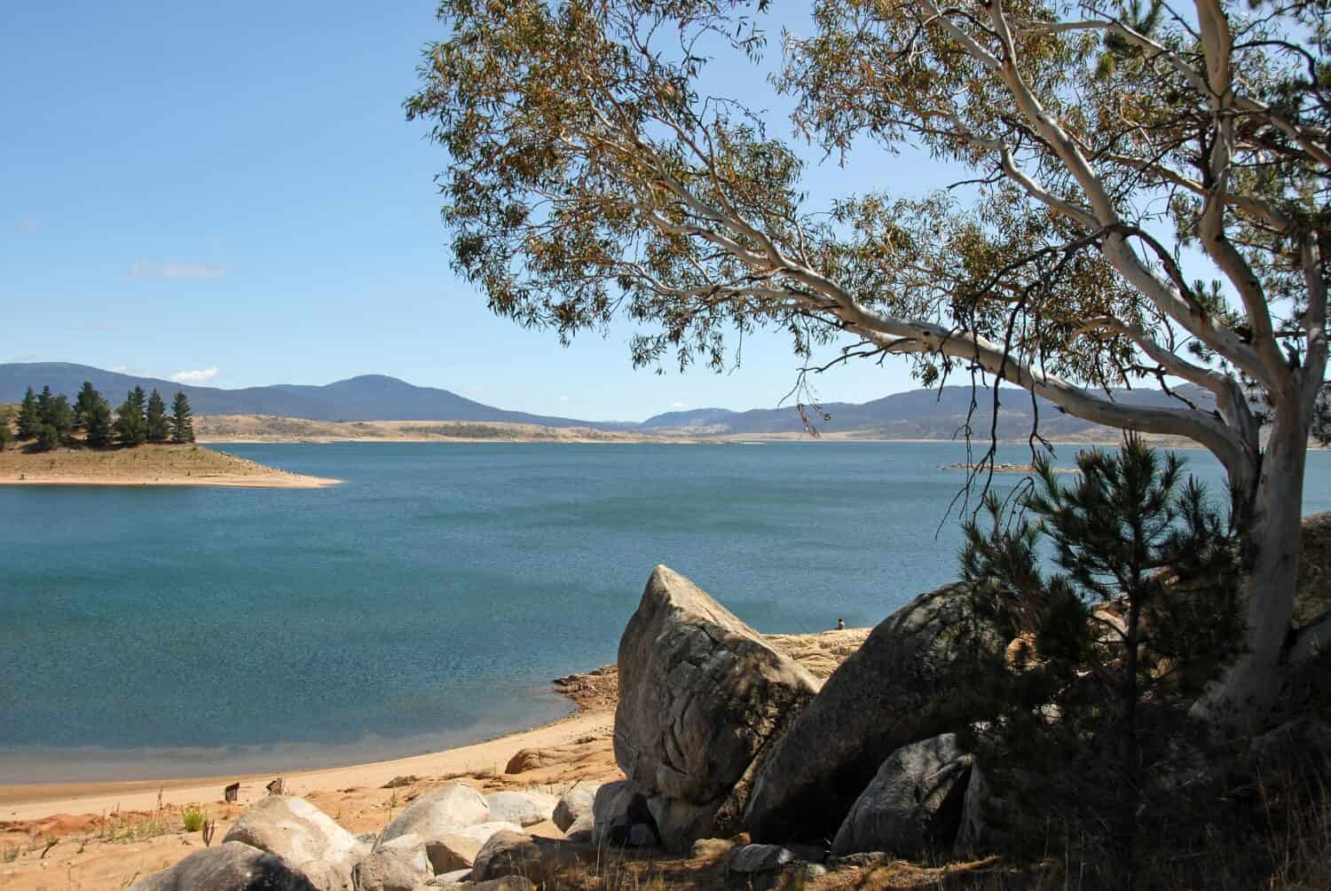 Jindabyne, New South Wales, Australia: View over Lake Jindabyne with a tree and rocks in the foreground. Jindabyne is a tourist destination near the Snowy Mountains.