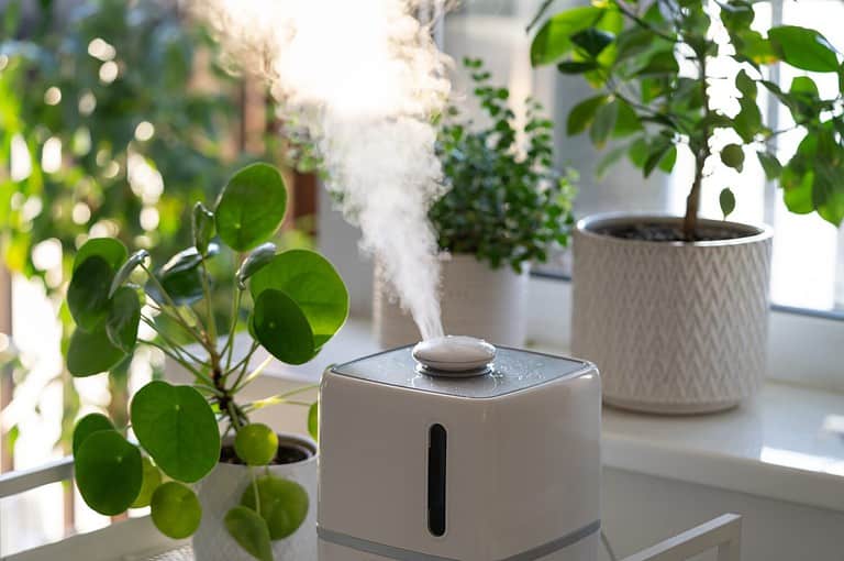 Modern cool-mist humidifier for indoor plants. Steam vaporizer working inside house, moisturizing dry air at home, standing near green houseplants. Humidity in apartment and plantcare concept
