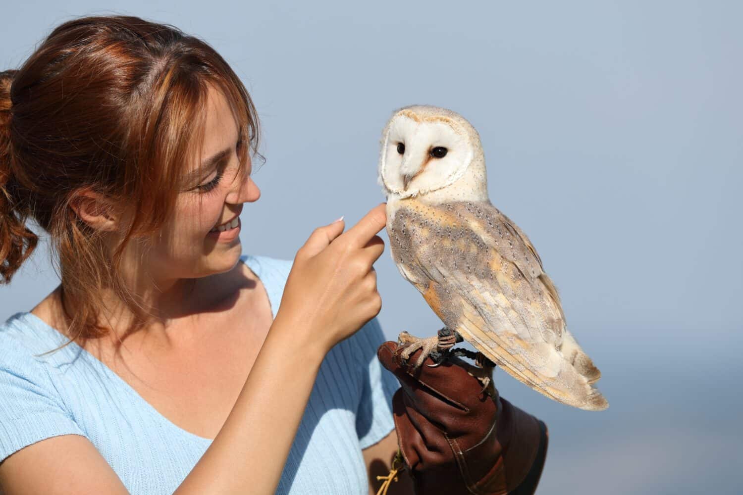 Happy affectionate falconer caressing a owl in nature