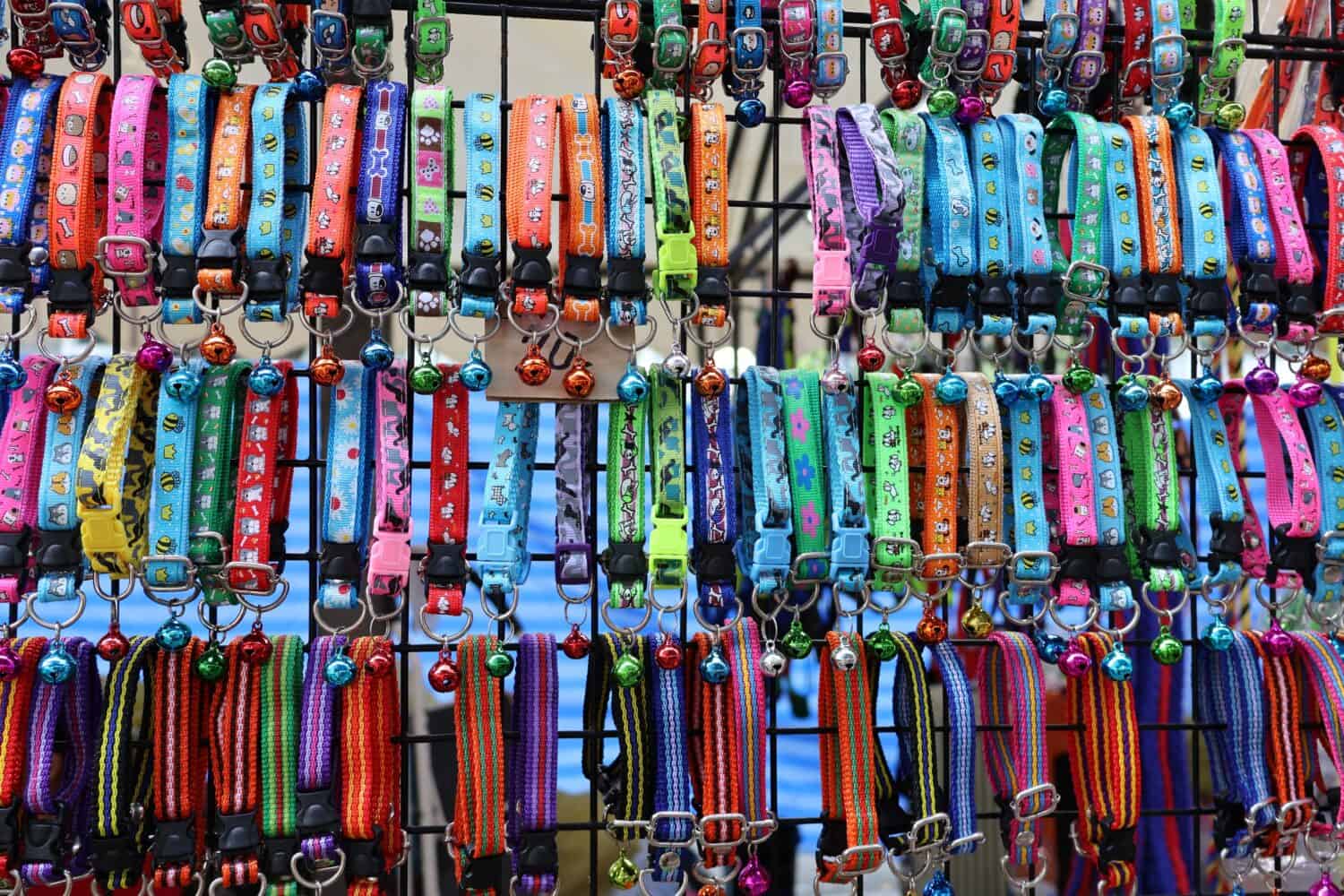 dog collar dog related products colorful bright colors