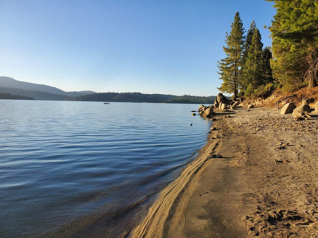 Shaver Lake Fishing, Size, Depth, And More - A-Z Animals