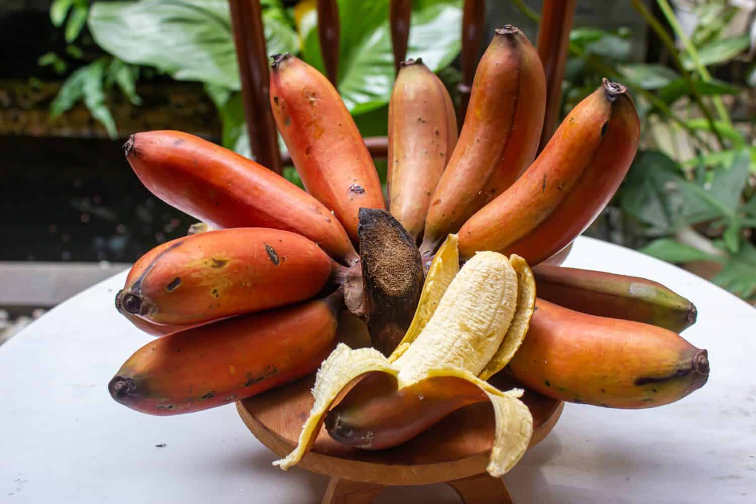 Red bananas are a unique fruit that provides many health benefits.