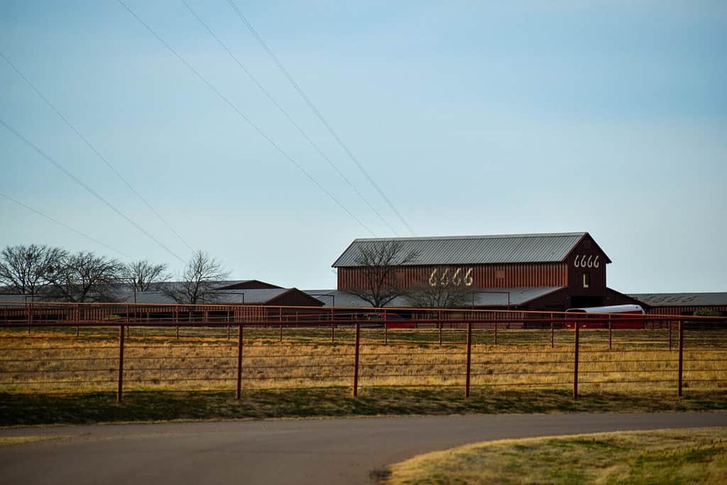 Ranch 6666 in Texas, United States