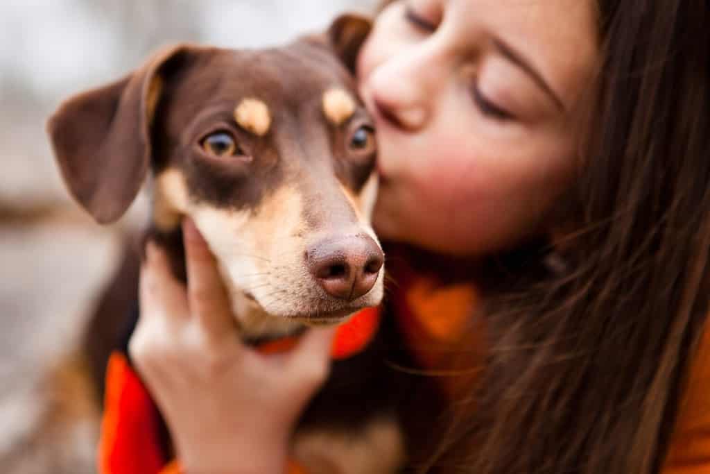 Lovely teenage girl in an orange jacket plays and hugs a dachshund dog