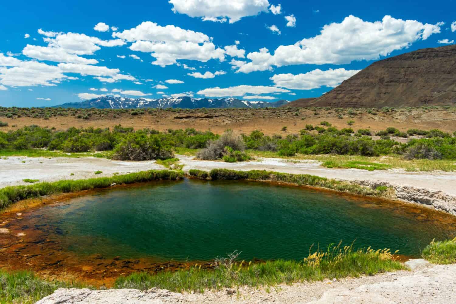 Beautiful green hot spring pool in Alvord Desert, Oregon 