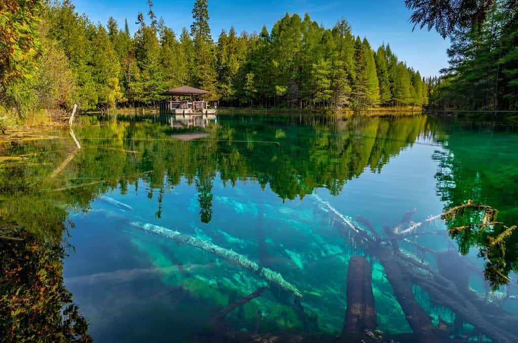 Kitch-iti-kipi is Michigan's largest freshwater spring.