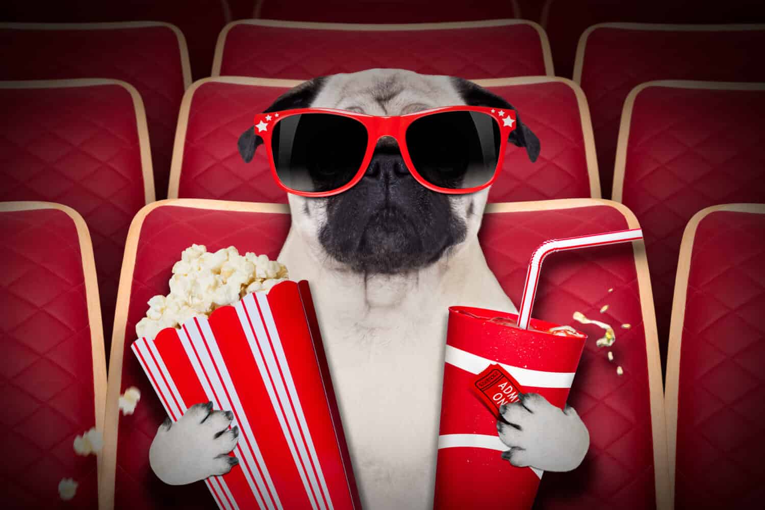 dog watching a movie in a cinema theater, with soda and popcorn wearing glasses