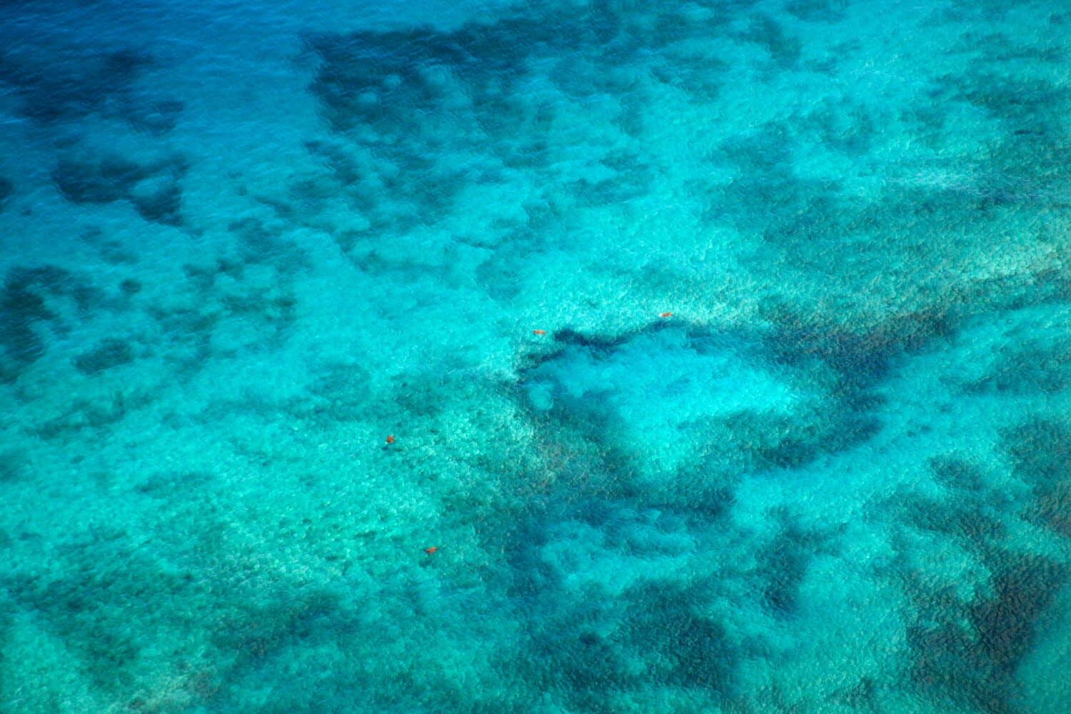 View through clear water to ocean floor.