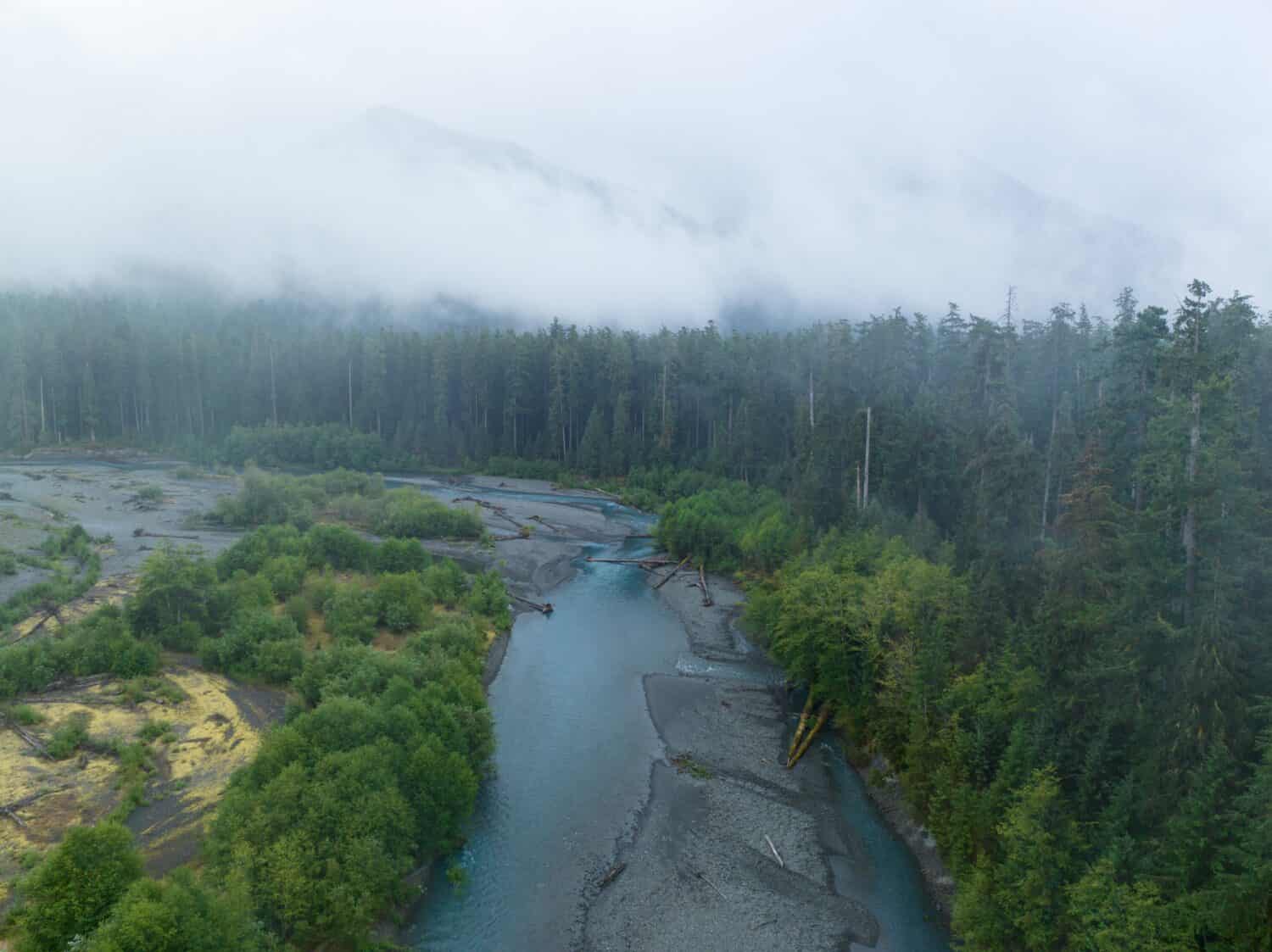 Located on the Olympic Peninsula, the Hoh river flows through one of the largest temperate rainforests in the U.S. Receiving over 100 inches of rain annually, the region is lush with flora and fauna.