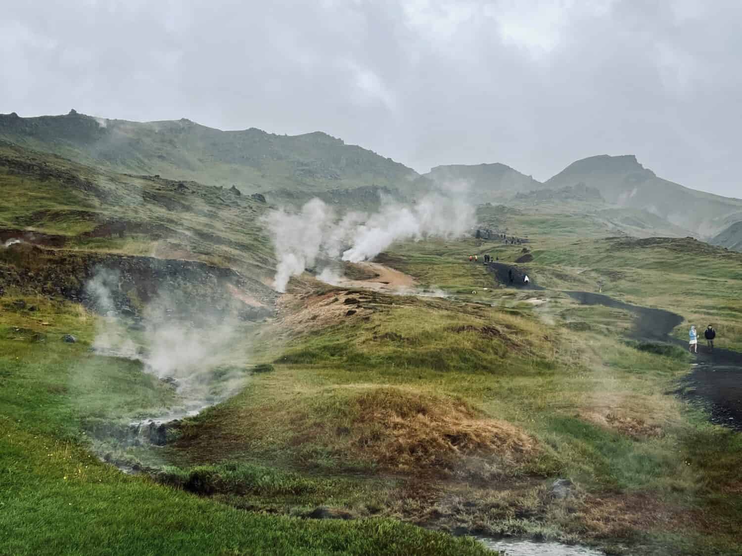 Mossy and wetland terrain of Reykjadalur Valley, Iceland. Valley is known for its mudpots, soda springs and geothermal activity. August 6, 2023.