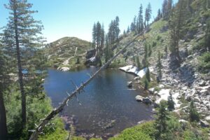 Lake Siskiyou Fishing, Size, Depth, And More Picture