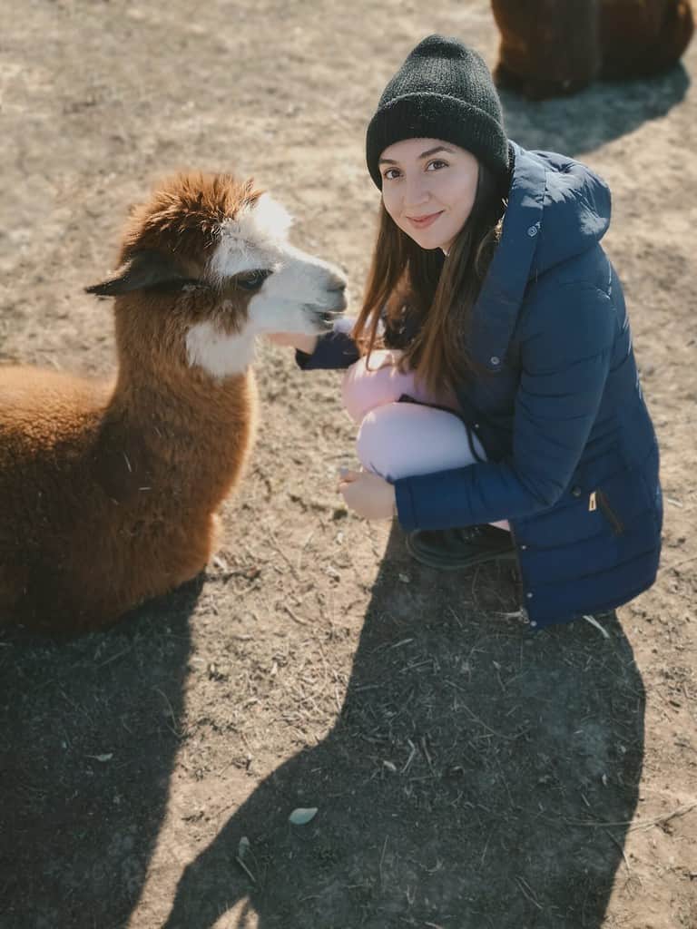 grainy photo.funny cute woman with llama.girl with llama at the zoo.walking with llama.funny photo with animal.free range animal.rescue animals.funny photo with pet.girl and alpaca.love of animals.