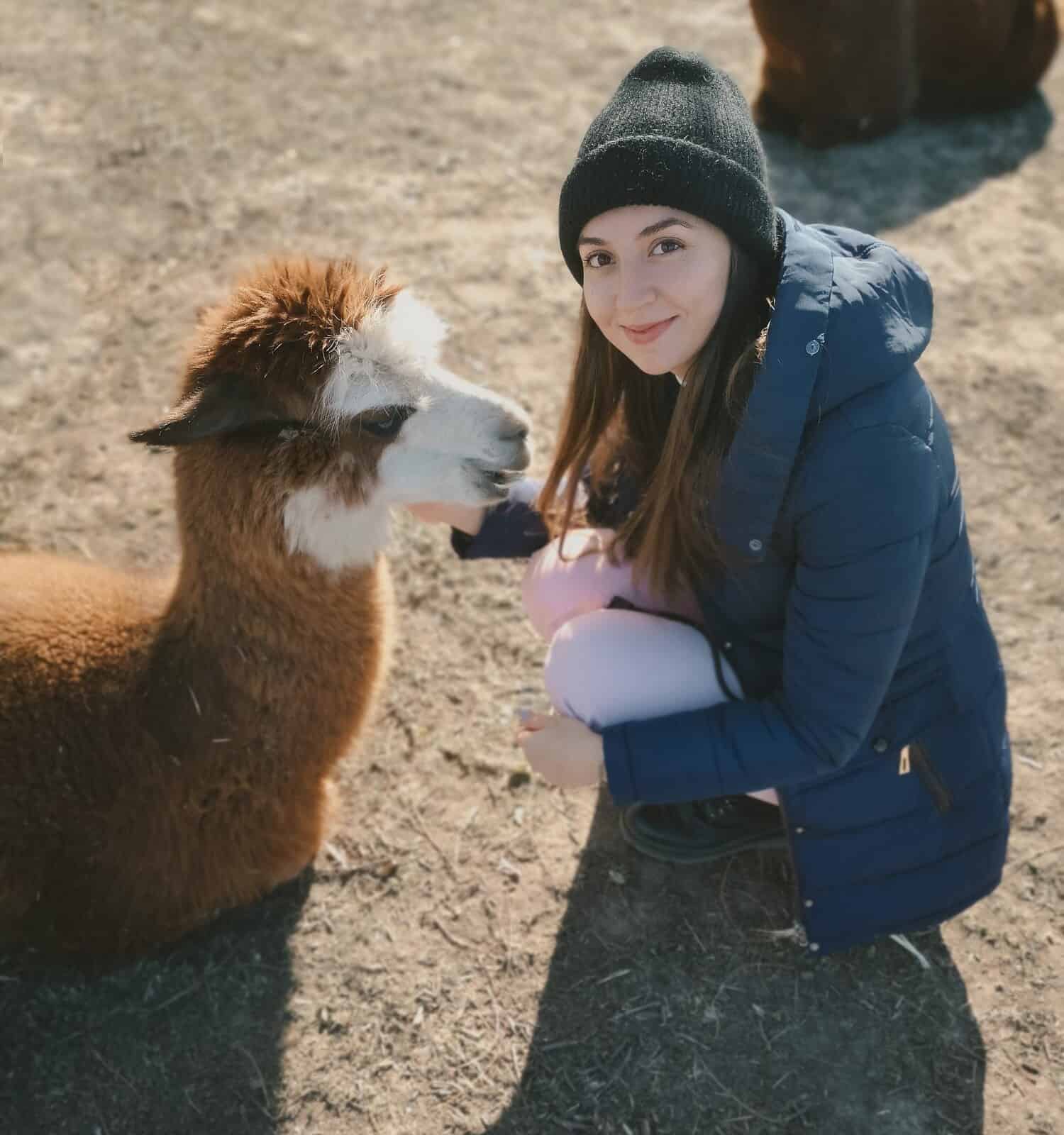 grainy photo.funny cute woman with llama.girl with llama at the zoo.walking with llama.funny photo with animal.free range animal.rescue animals.funny photo with pet.girl and alpaca.love of animals.