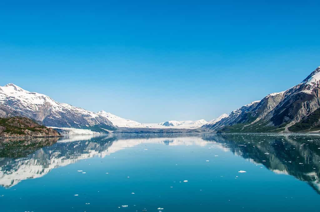 The beauty of North America | Alaska: Beautiful sunny morning in Glacier Bay National Park and Preserve, Alaska, United States.