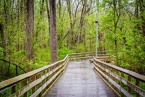 Discover the 9 Largest City Parks in Maryland Picture