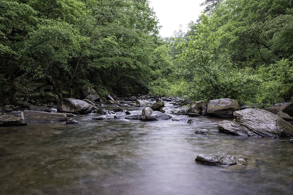 Small creek running int Cahaba River central Alabama.