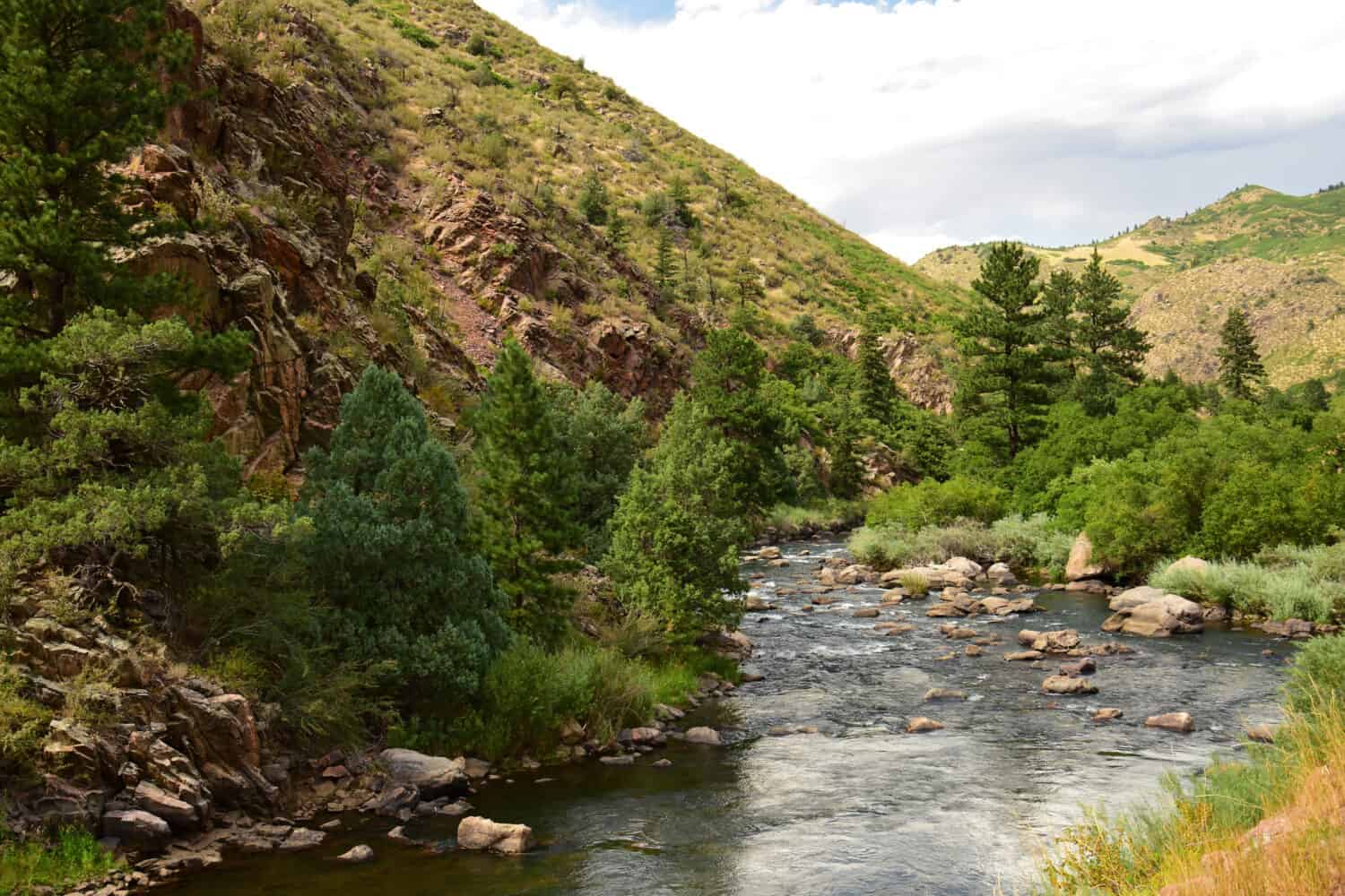  peaceful scene along foothills of  the south platte river in waterton canyon, littleton,  colorado