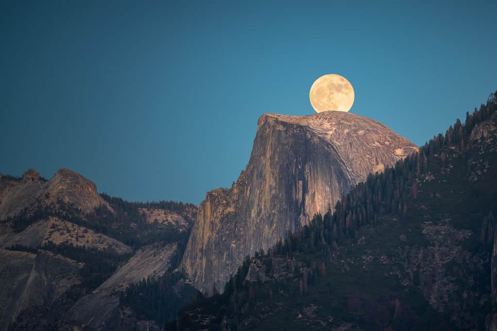 On Nov 14, 2016, Supermoon, super sized moon, rise over the Half Dome in Yosemite National Park