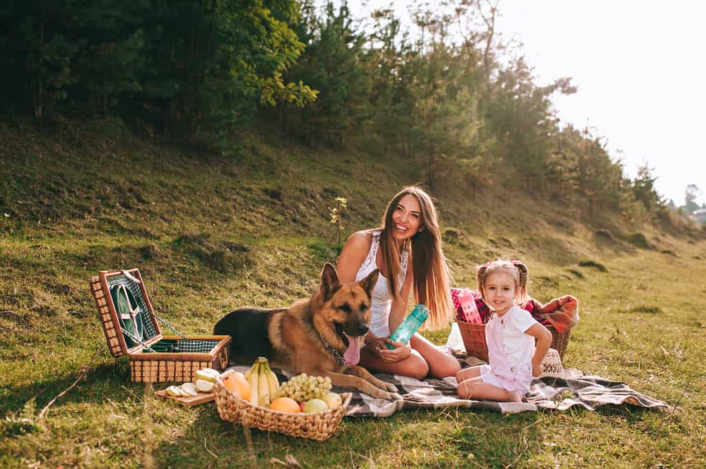 mother and daughter at a picnic with a German shepherd dog