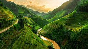 Discover the Best Time to Visit Vietnam for Ideal Weather photo
