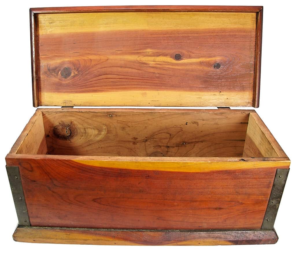 Cedar chest with lid open. Isolated.