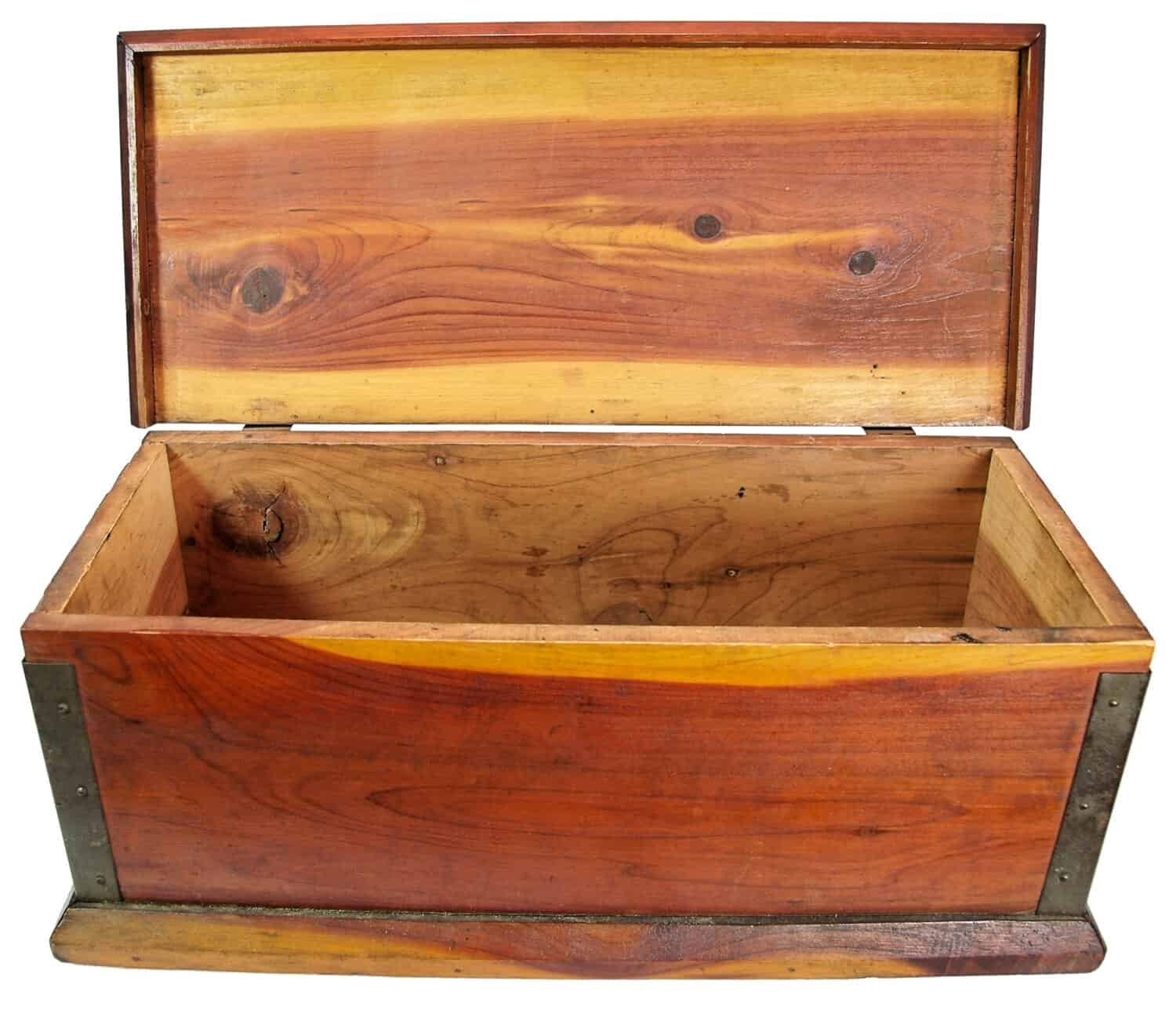 Cedar chest with lid open. Isolated.