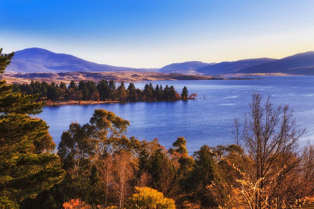 BLue water of Jindabyne lake surrounded by snowy mountains national park and bright foliage of trees in elevated view at warm gentle morning sun rays.