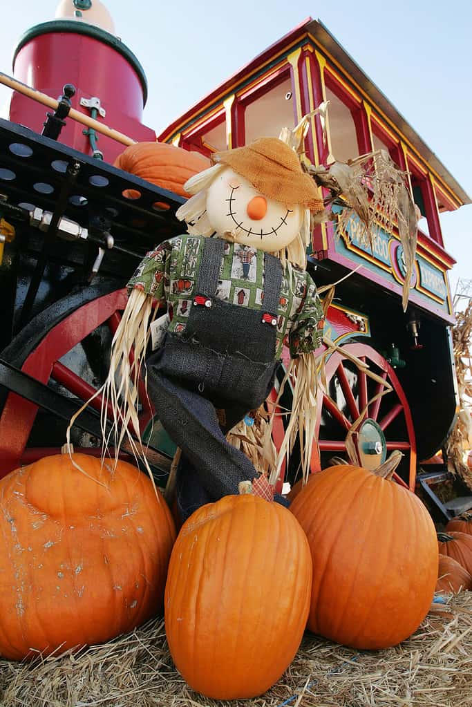 Smiling scarecrow in front of a colorful locomotive with pumpkins in foreground.