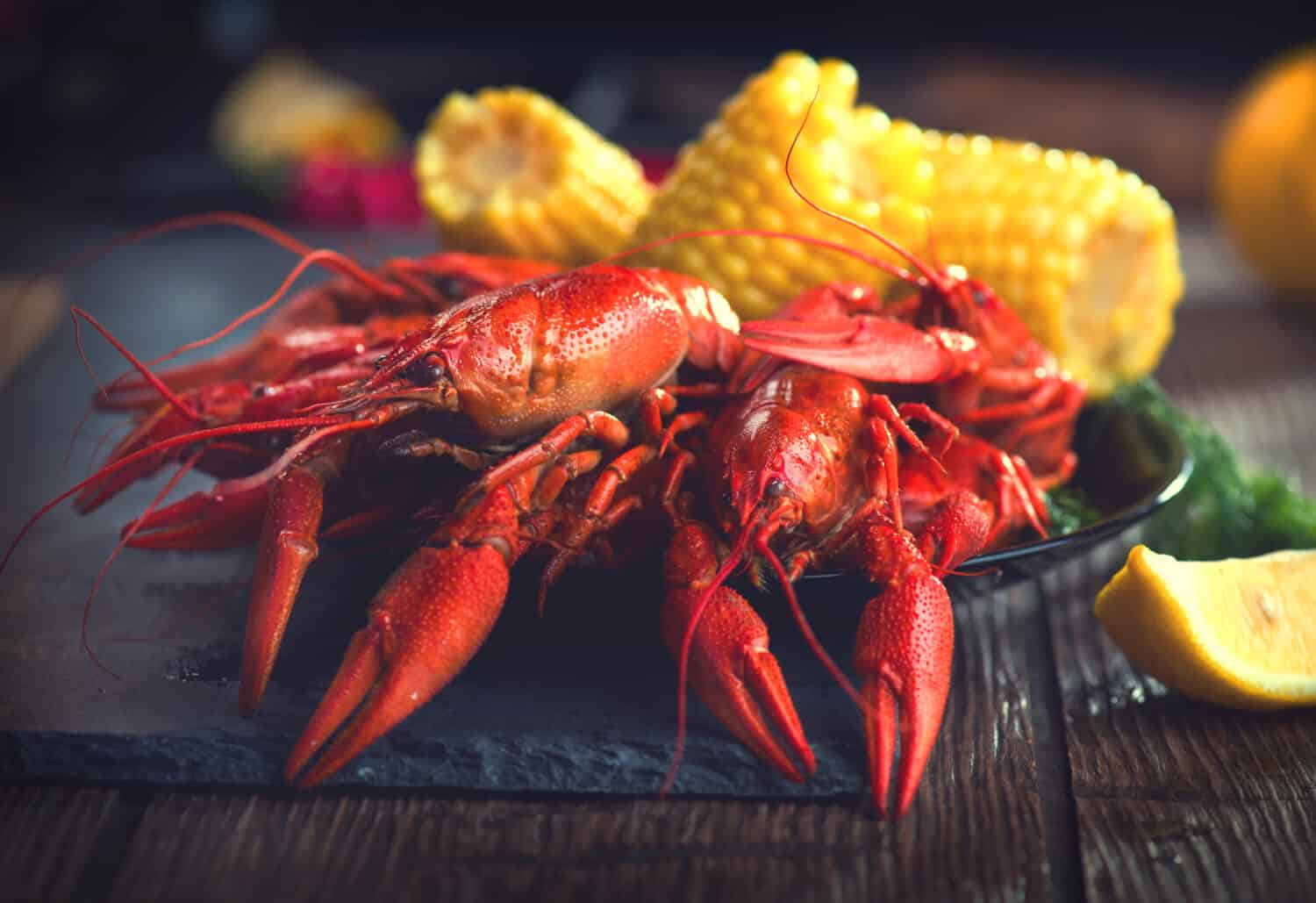 Crawfish, Crayfish Boil Close-up. Creole style crawfish boil serving with corn and potato