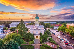 The Top 10 Places to Raise a Family Across the State of Georgia Picture