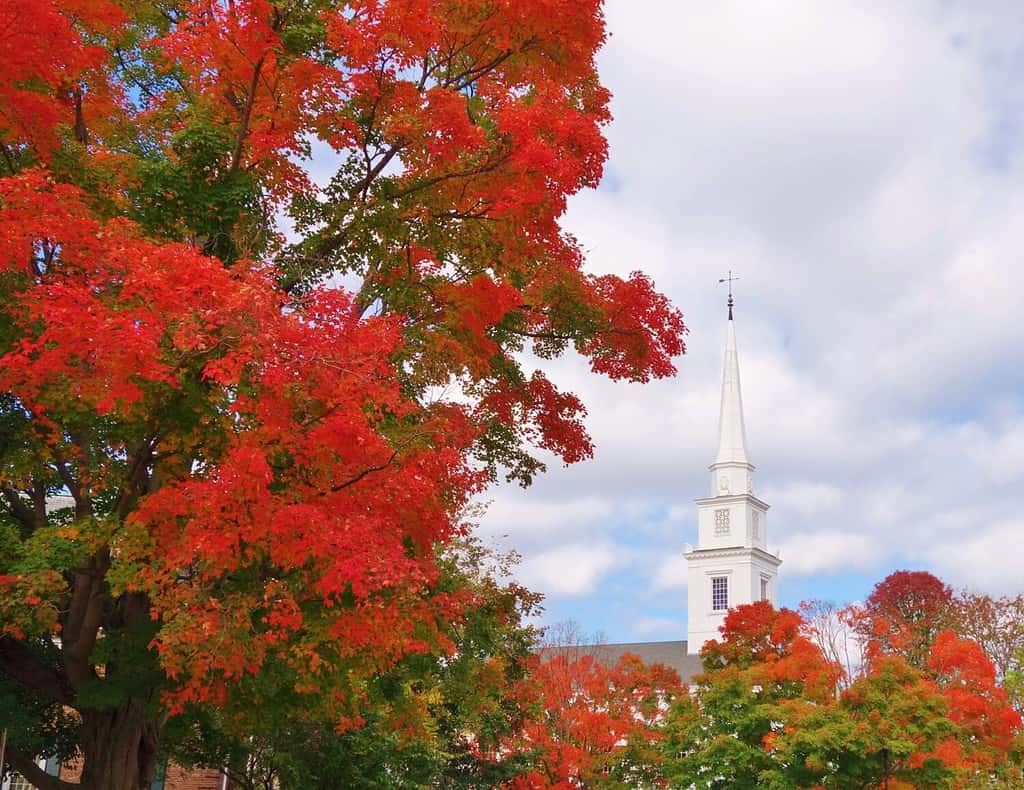 Big beautiful bright red tree in fall colors fills the left half of the frame with a church steeple under a blue sky with puffy white clouds on the right in Hanover, New Hampshire on a nice autumn day