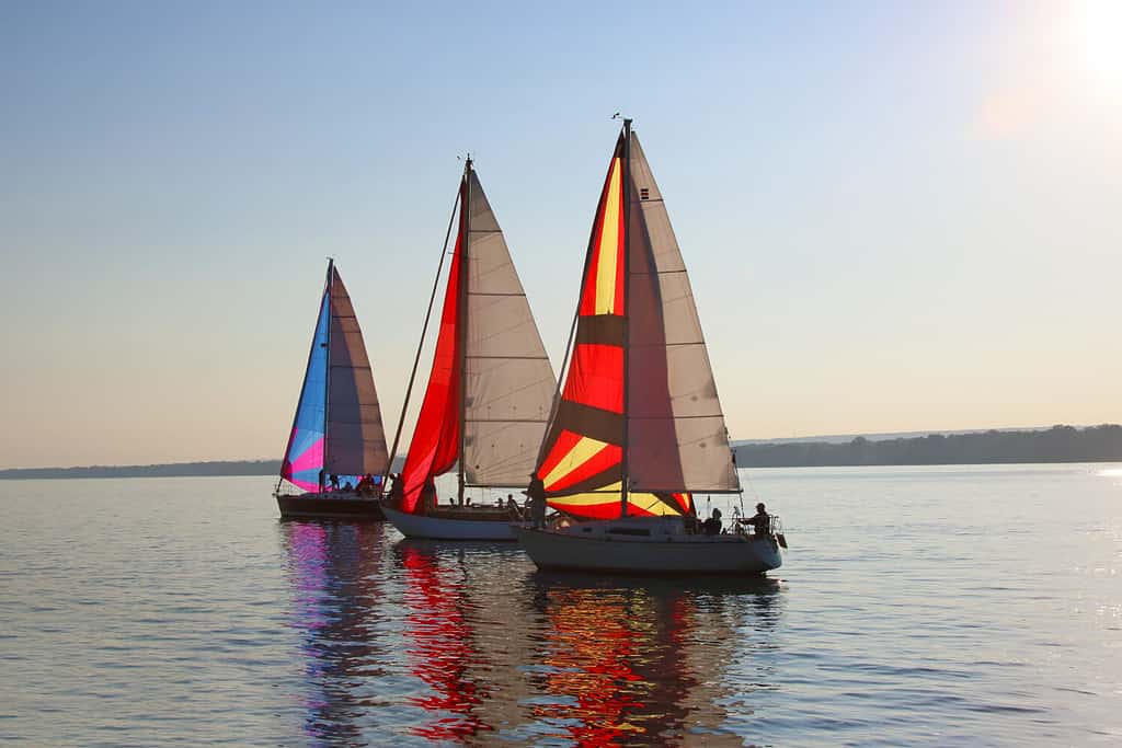 Sailboat Race on Lake Erie