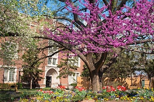 Explore the Vast Campus of Oklahoma’s Largest College Picture