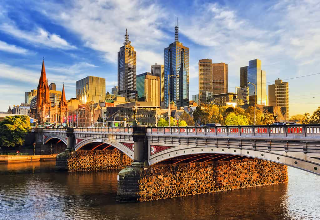 Warm morning light on high-rise towers in Melbourne CBD above Princes bridge across Yarra river.