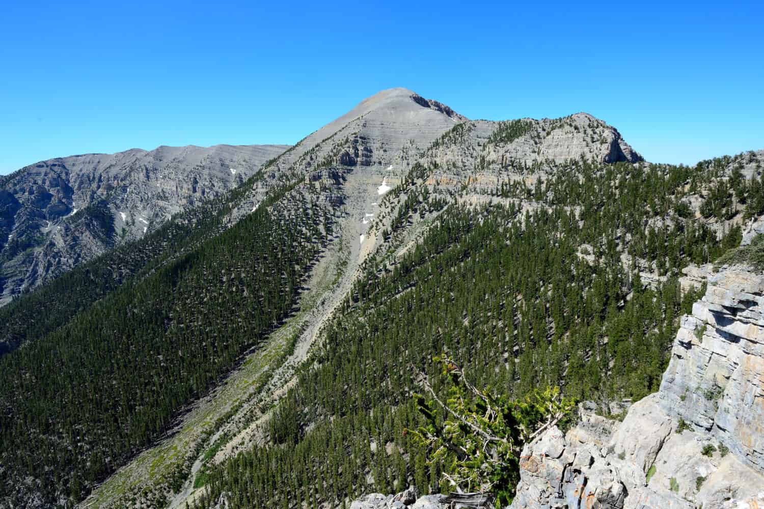 View of the summit of Mount Charleston from North Loop Trail in Spring Mountains National Recreation Area near Las Vegas, Nevada