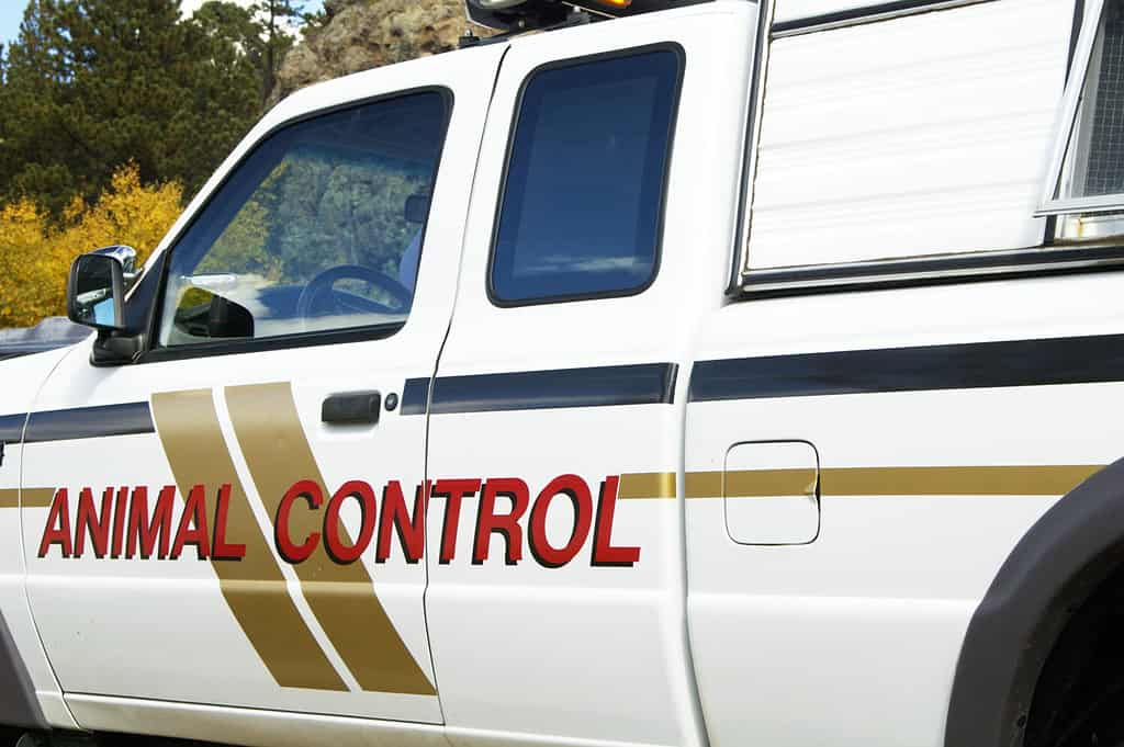 An animal control vehicle on duty in an urban setting.
