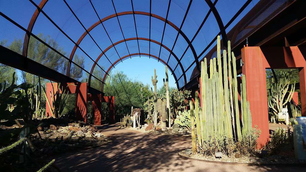 Desert Botanical Garden in Phoenix, Arizona