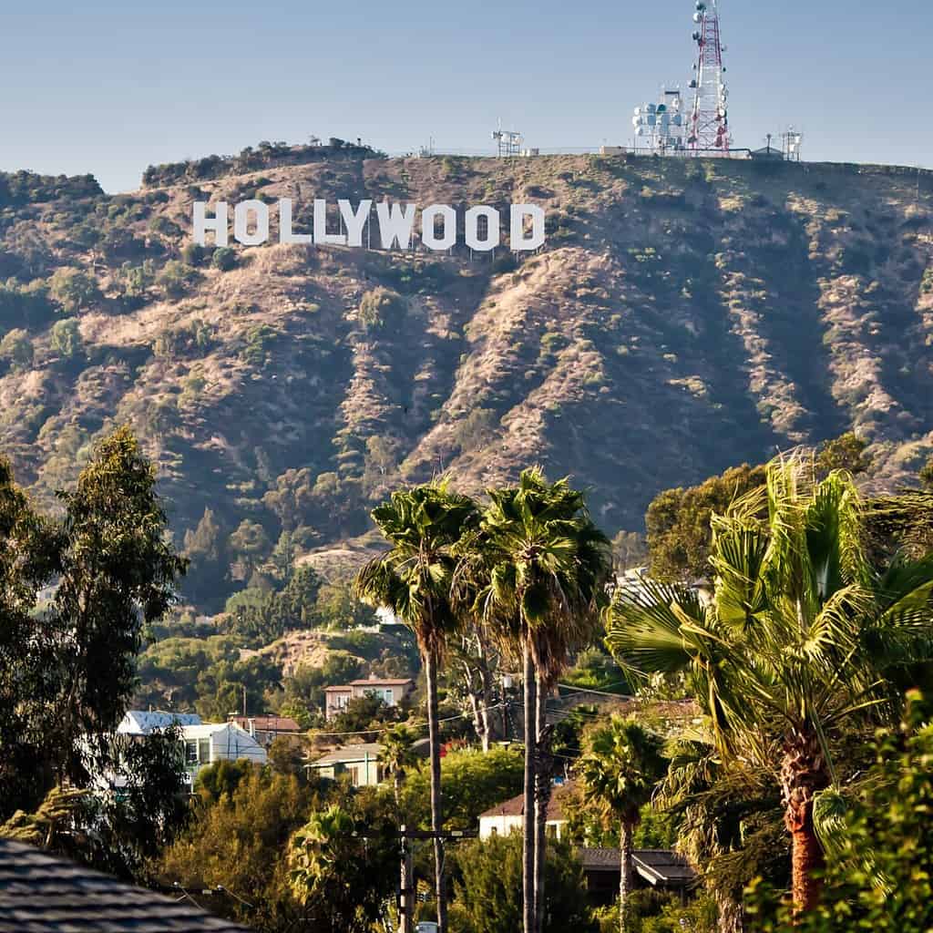 The hollywood sign in california from a wide shot view