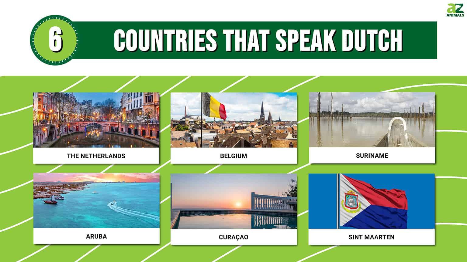 6 Countries That Speak Dutch In 2024 A Z Animals   01cb66527224f18d07c55c995e4aee6abec576da 1536x864 