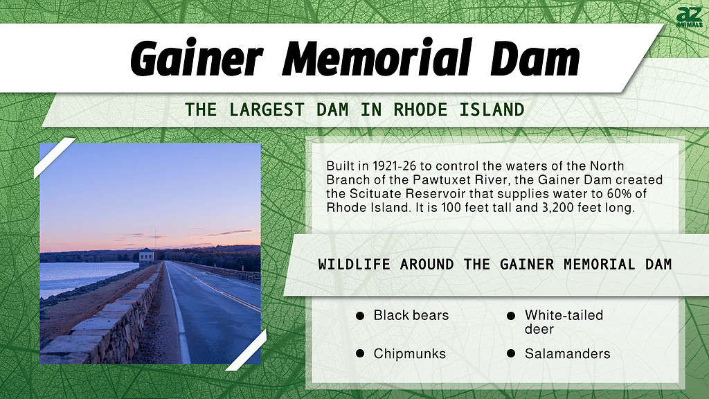 "Largest Dam" infographic for the Gainer Memorial Dam in Rhode Island.