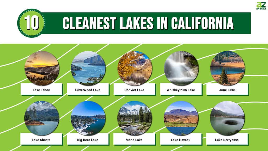 Infographic for the 10 Cleanest Lakes in California.