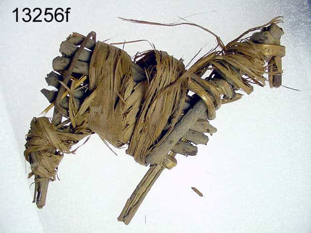 Split-Twig Figurines from the Grand Canyon, Arizona