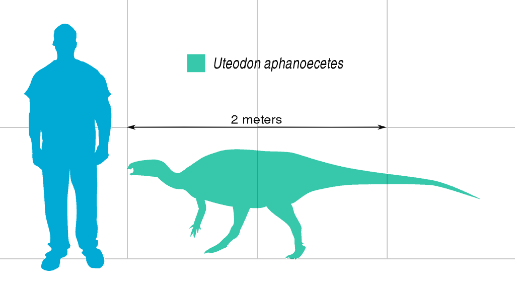 Uteodon