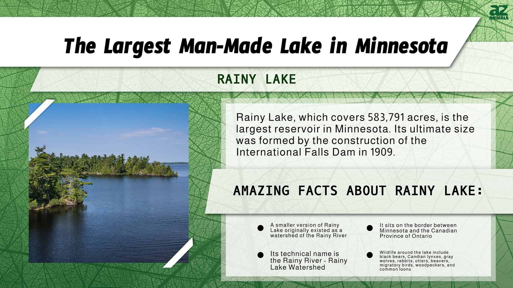 Here Are The 20 Biggest Lakes In Minnesota – AAMDTM